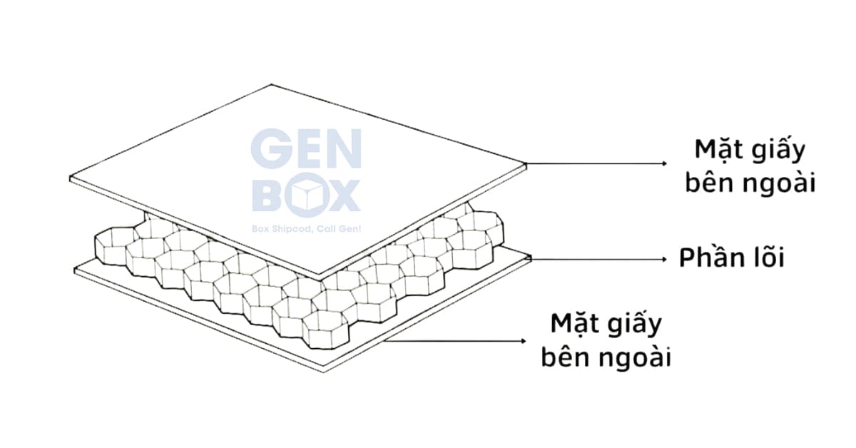 Ảnh: Cấu tạo của giấy tổ ong